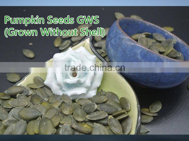 Best Selling Products Pumpkin Seeds GWS (Grown Without Shell)