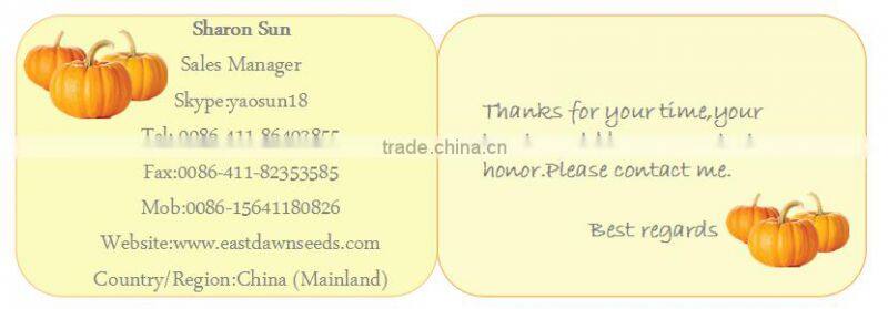 2015 New Crop Shine Skin Pumpkin Seeds price