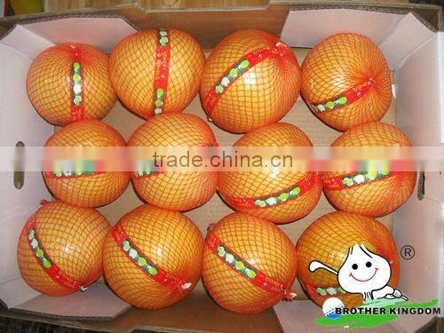 Chinese pomelo in 11kg carton