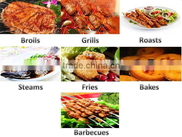 OEM 12L electric halogen replacement bulb convection oven 220V(EL-812)