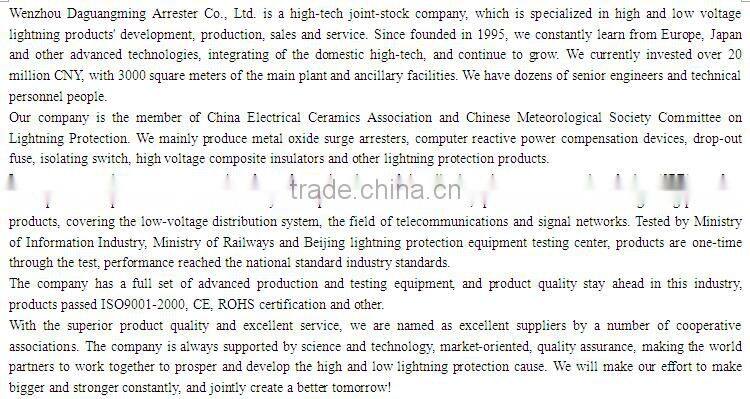 Whole house lightning rods to protect your home from direct lightning