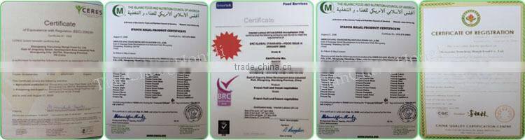 IQF Strawberry Puree without seed