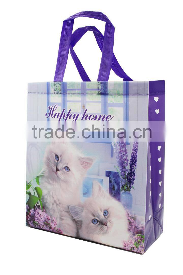 Cheap Reusable Non Woven Cloth Shopping Bag Garment Bag Wholesale