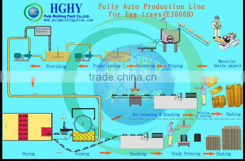 disposable recycled paper egg tray production line by HGHY