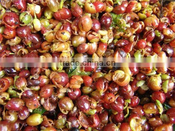 2016 coffee pulper machine | coffee bean pulp machine | coffee bean pulping machine