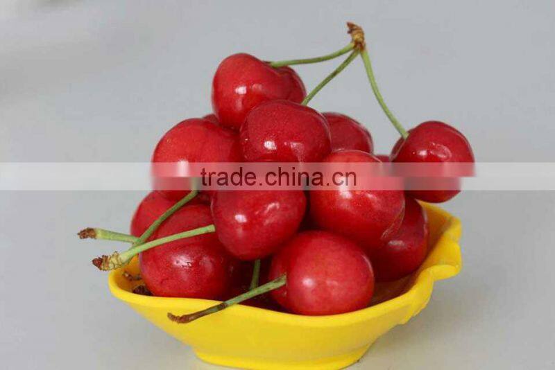 bagged 18 degree sugar content of china fresh cherries