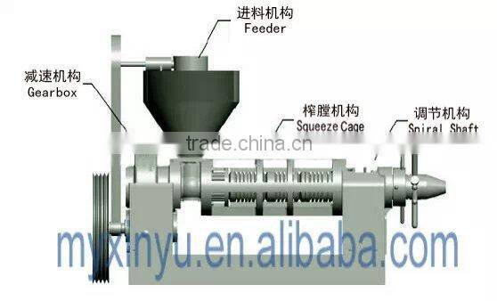Best Sales Pine Nuts Oil Expeller