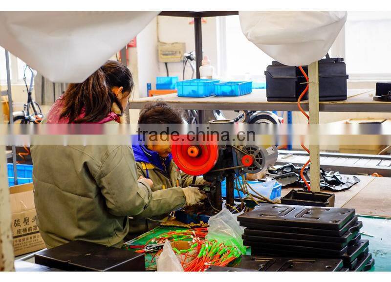 convenient lovely 36v 250w folding rechargeable bicycle