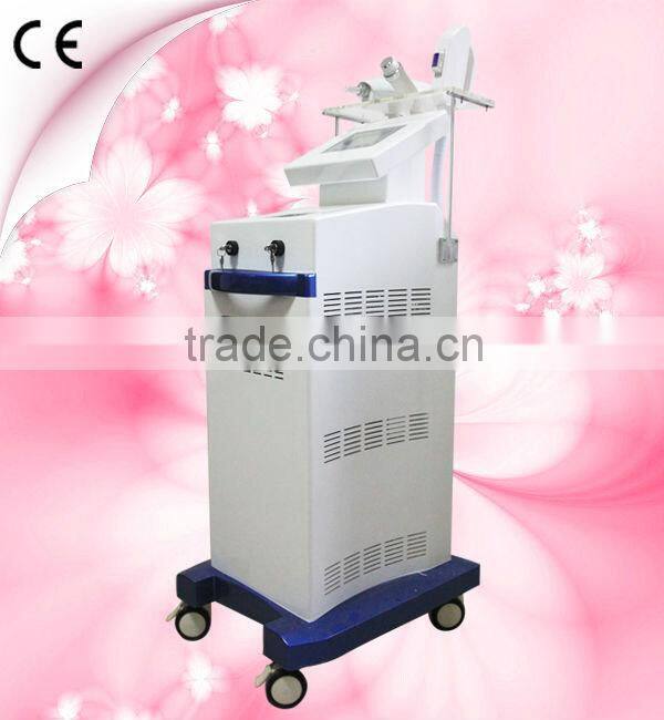 China hot sale double screens Elight/RF/Laser tattoo removal multifunctional beauty equipment (LJL-III)