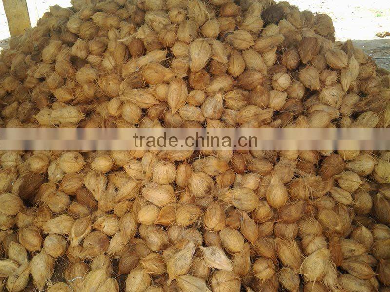 Husked coconuts from tamilnadu
