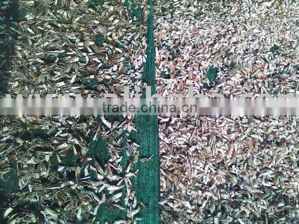 Dried Shrimp Shell In Bag