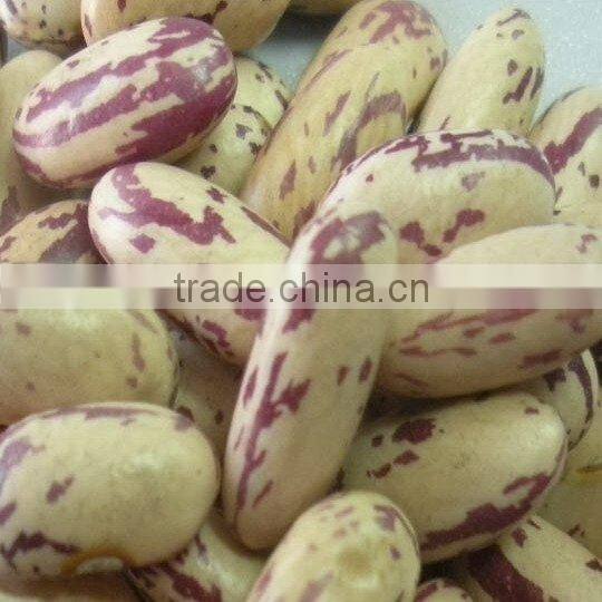 Crop 2010 kidney beans