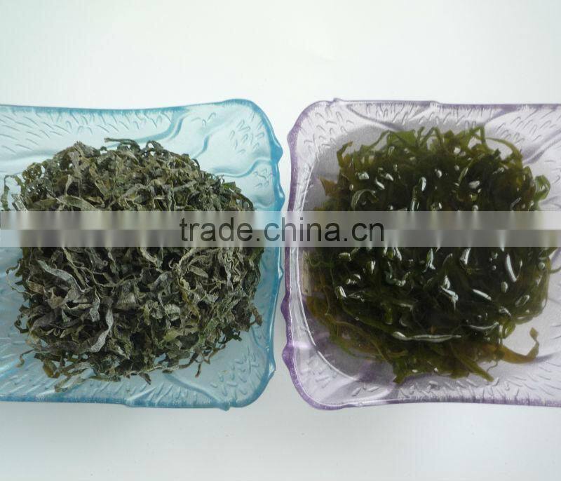 New arrival dried machine kelp for salad