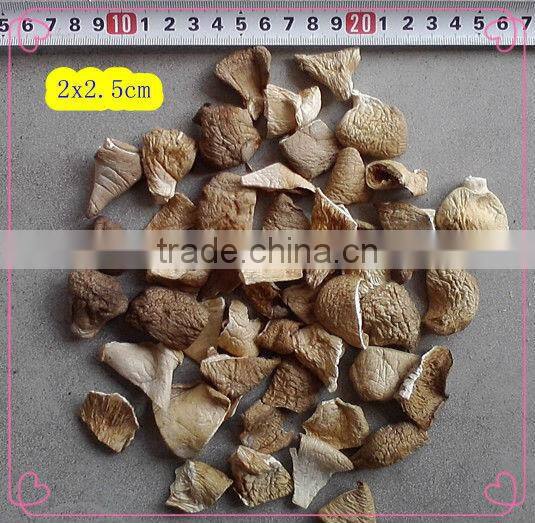 Dried pleurotus ostreatus