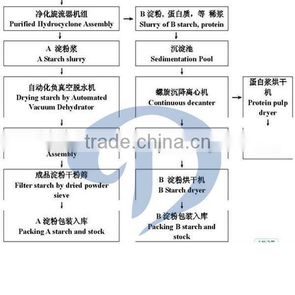 Stainless steel wheat starch production line | wheat starch making