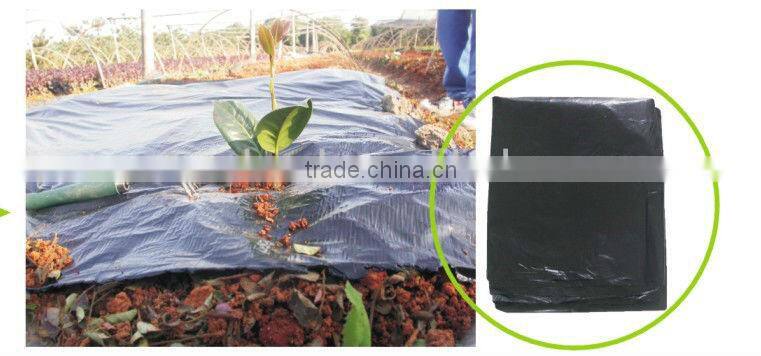 plastic film LY-H1001