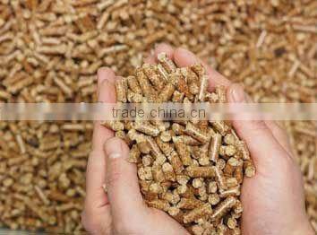 Ce Approved Ring Die Biomass Wood Pellet Mill for Fuel Factory