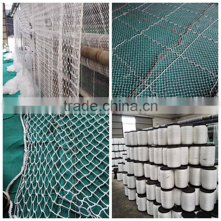 swimming pool safety net