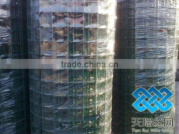 PVC Coated Holland Wire Mesh Fence Manufacturer&Exporter