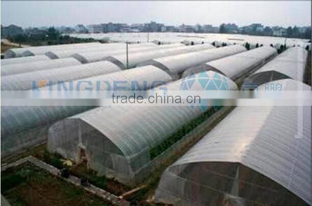 Single Span Solar Greenhouse with Film Cover (ISO9001:2000)