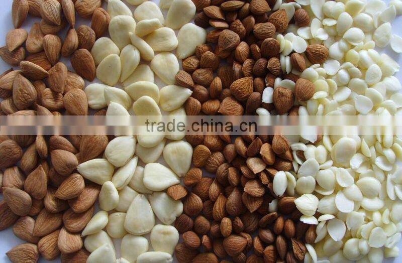 Wet Type Almonds Peeling Machine Peeler