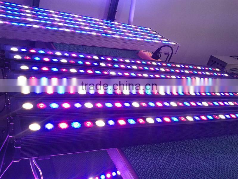 Bridgelux spectrum king solo led grow light newstar sunshine led grow bar lighting