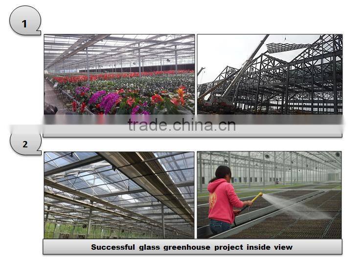 Commercial frp greenhouse for agricultural