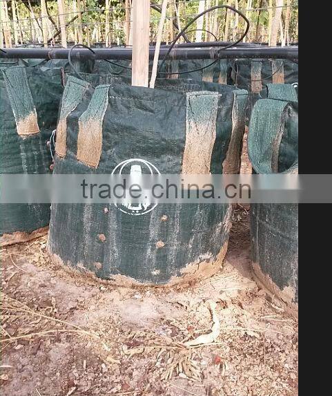 PP/PE Woven Tree Plant Bag With 2 Handles