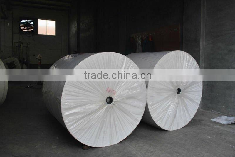 China Ruihua polyester mat used to be sbs/app