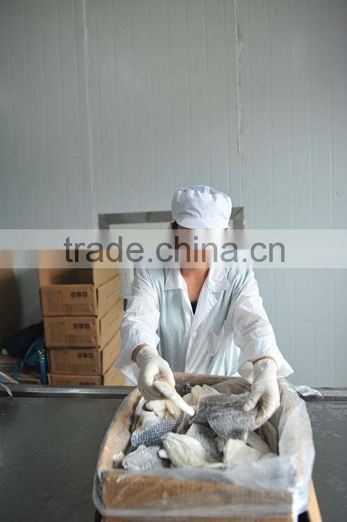 Frozen Ribbon fish WR