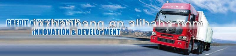 8*4 Cargo Truck/Sino Cargo Truck/Heavy Duty Cargo Truck