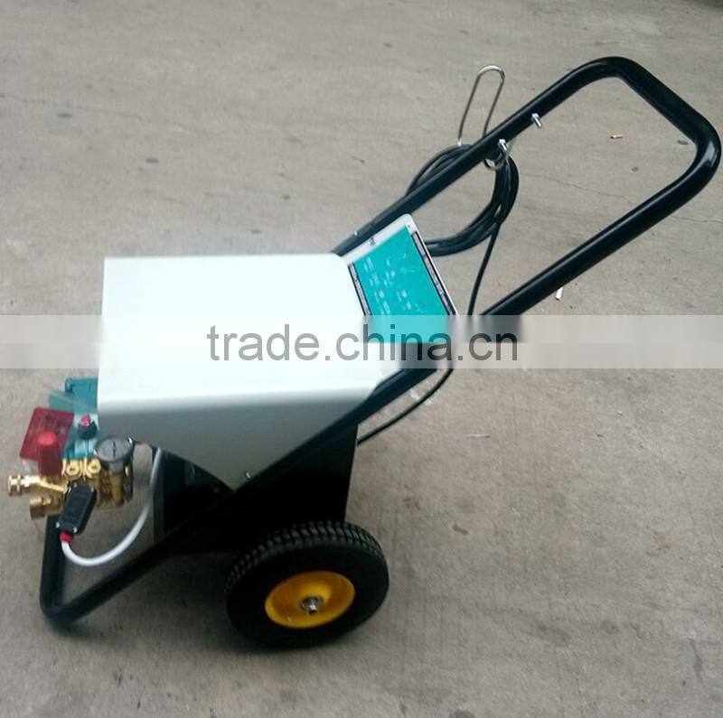 Low price small type high pressure car clean machine