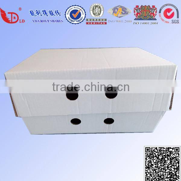 Carton Waterproof frozen food shipping boxes