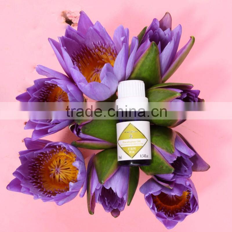 FDA Excellent Quality Price of Eucalyptus Essential Oil