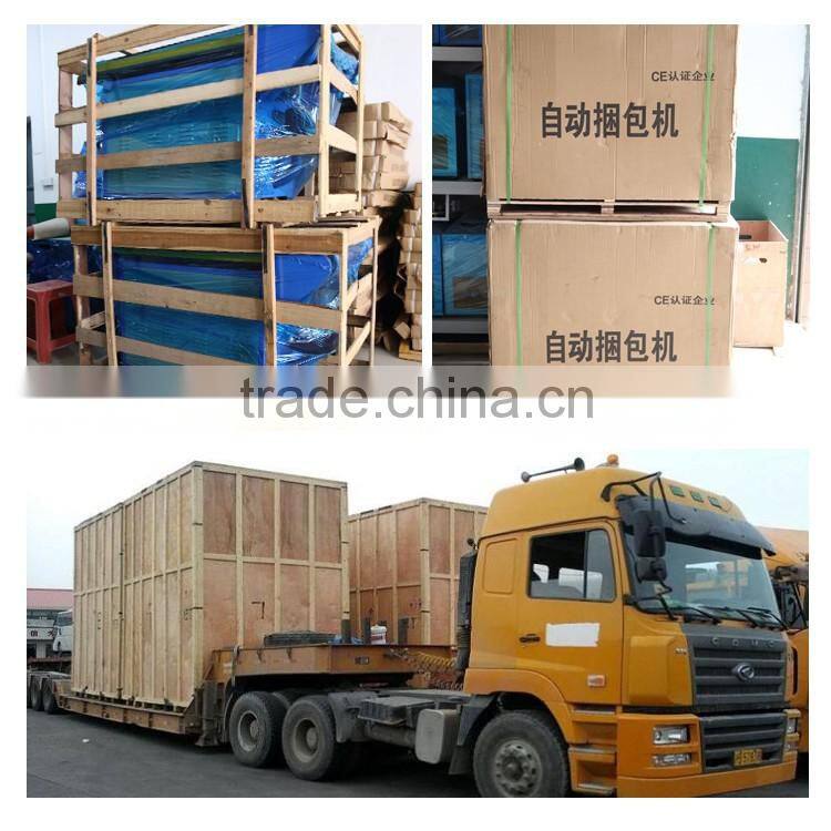 hot sell gift children clear POE umbrella