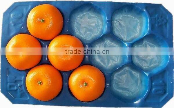 Divided Perforated Pad For Fruit &Vegetable