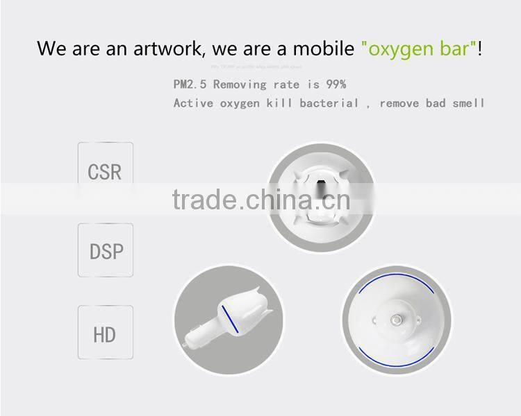 Custom eliminate secondhand smoke and fresh air freshener for car