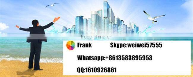 The Most Excellent Injection Pump Test Tools 12PSDB-E With 12 Cylinders Popular in Italy