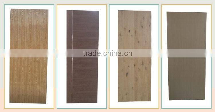 Golden Supplier Plywood Flush Door For Low Cost Building