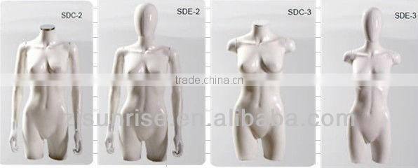 Environmentally Friendly and Recyclable half body model Torso