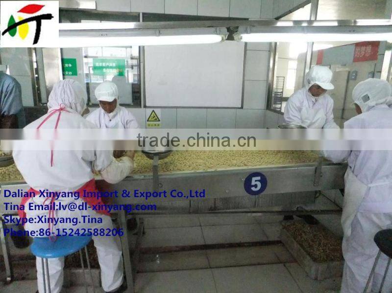 coated peanut equipment/roasted coated peanuts/baked coated peanuts