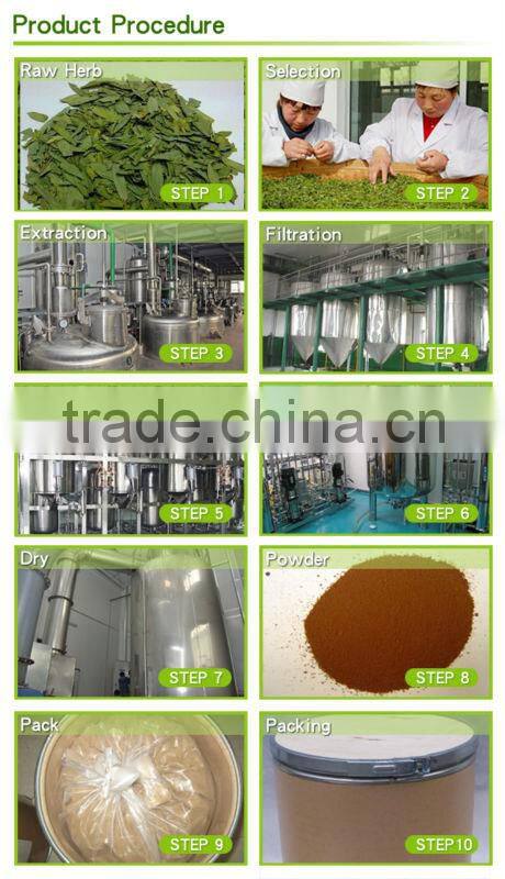 GMP Factory Supply Natural Senna Leaf Extract Sennosides