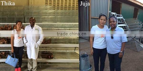 Kenya Nairobi Warehouse 120 160 and 256 birds Chicken Layer Cage