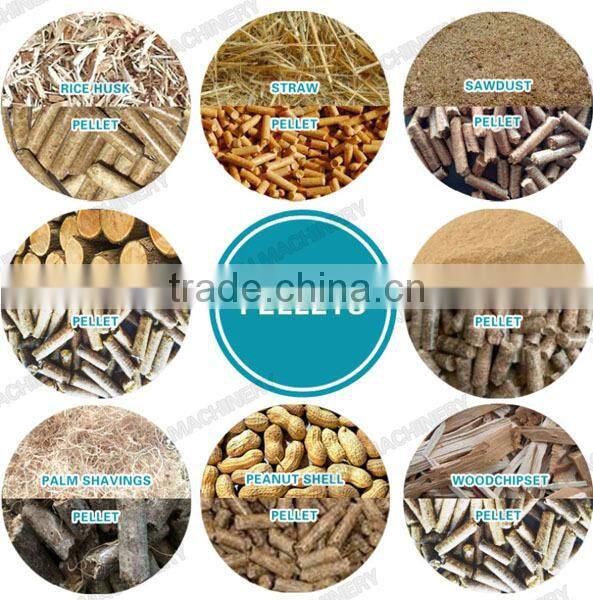 China Cheap cattle feed pelletizer machine