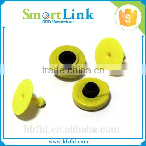 cattle ear tags for sale