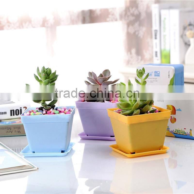 Cheap square black plastic plant flower nursery pot 10*8.5cm