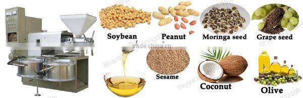 Professional automatic pumpkin seed oil press machine(mob:0086-15503713506)