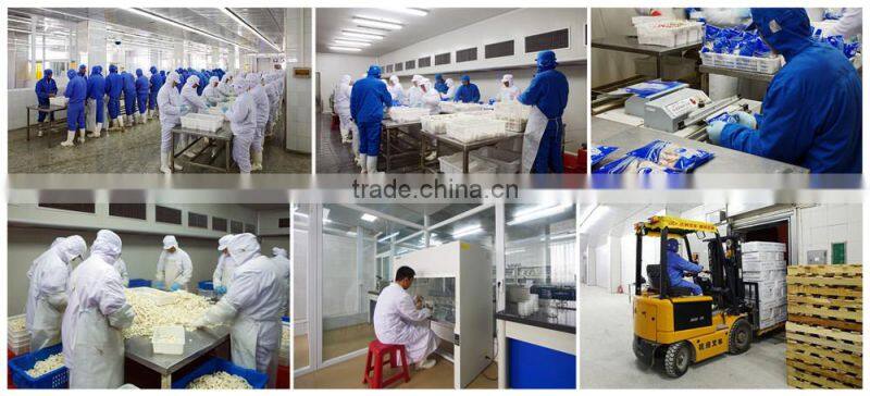 Good Quality Frozen Whole anchovy