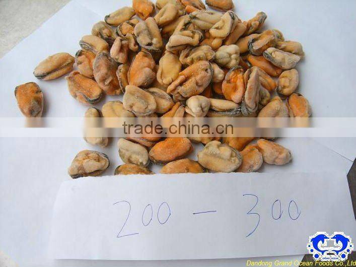 IQF chair de moules cuites congelees