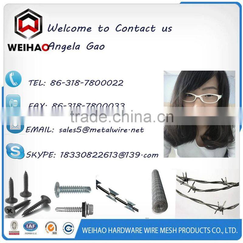 Buldge Head Drywall Screw